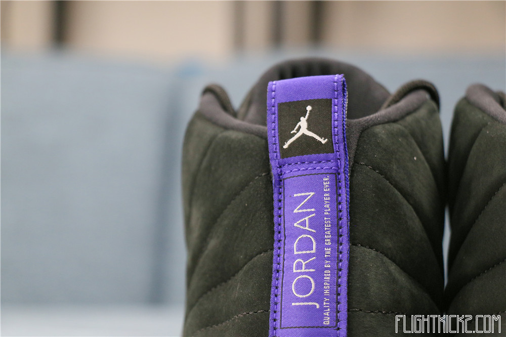 Air Jordan 12 Retro Dark Concord