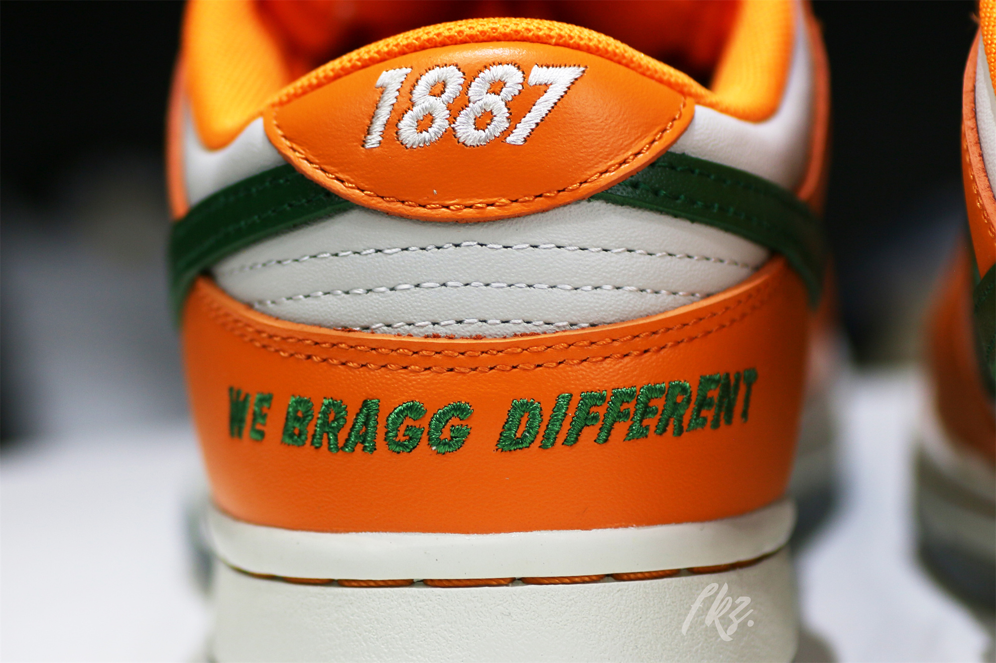 Nike Dunk Low Florida A&M University