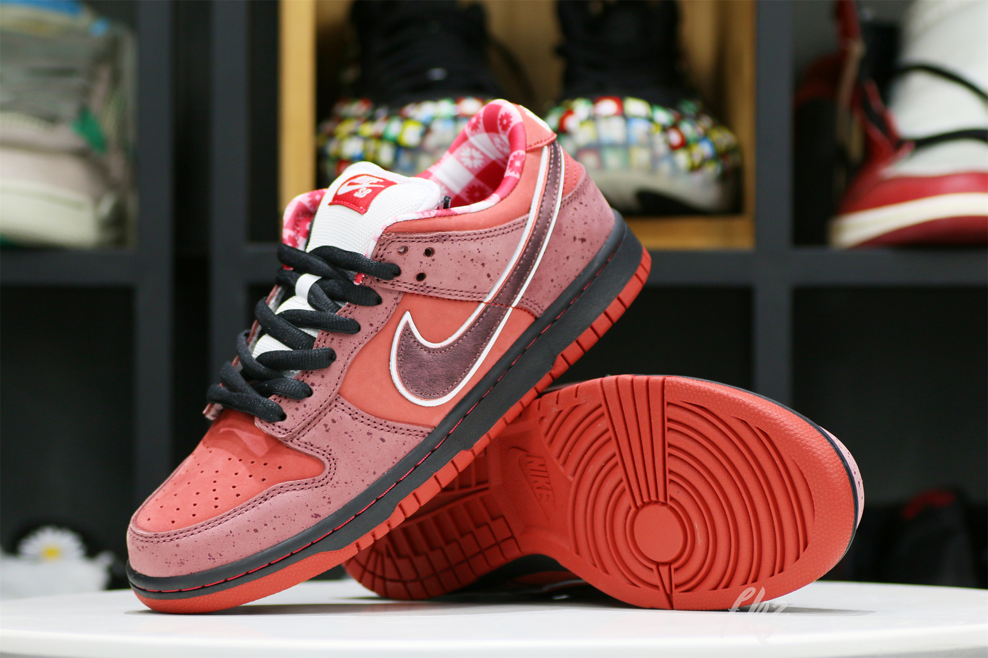 Nike SB Dunk Low Concepts Red Lobster