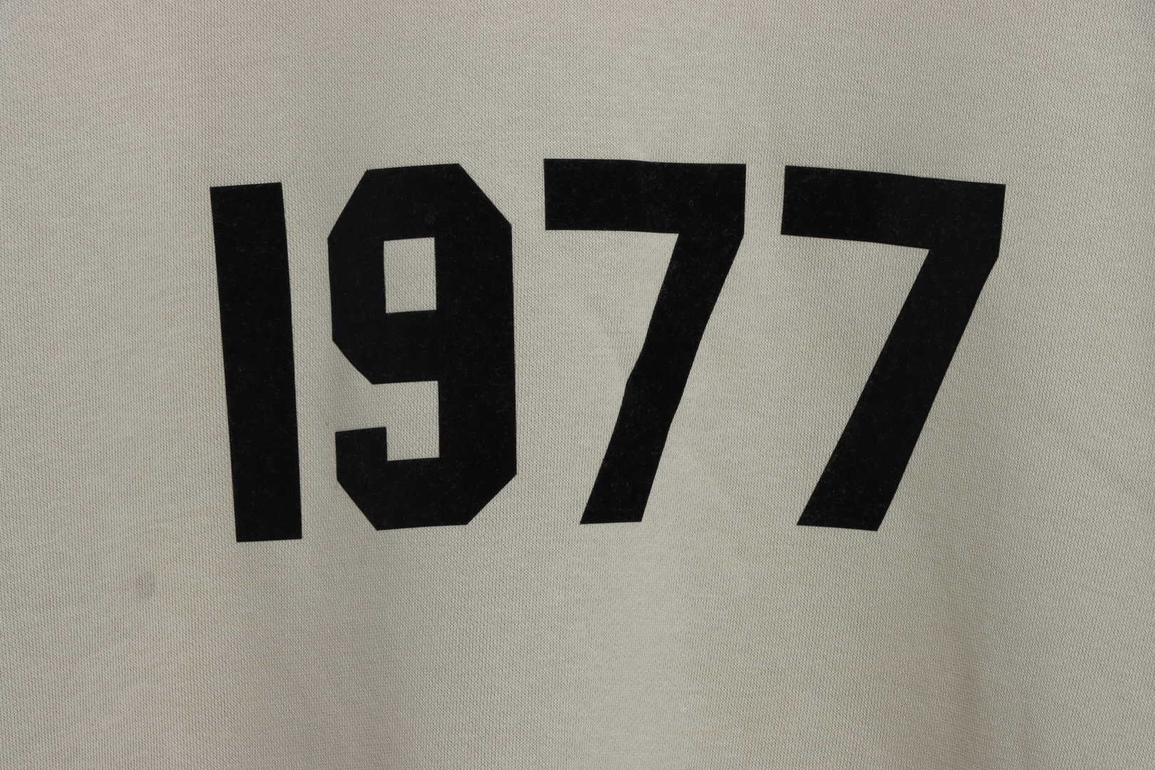 Ess3nt1als F0G 1977 flocking plus fleece sweater