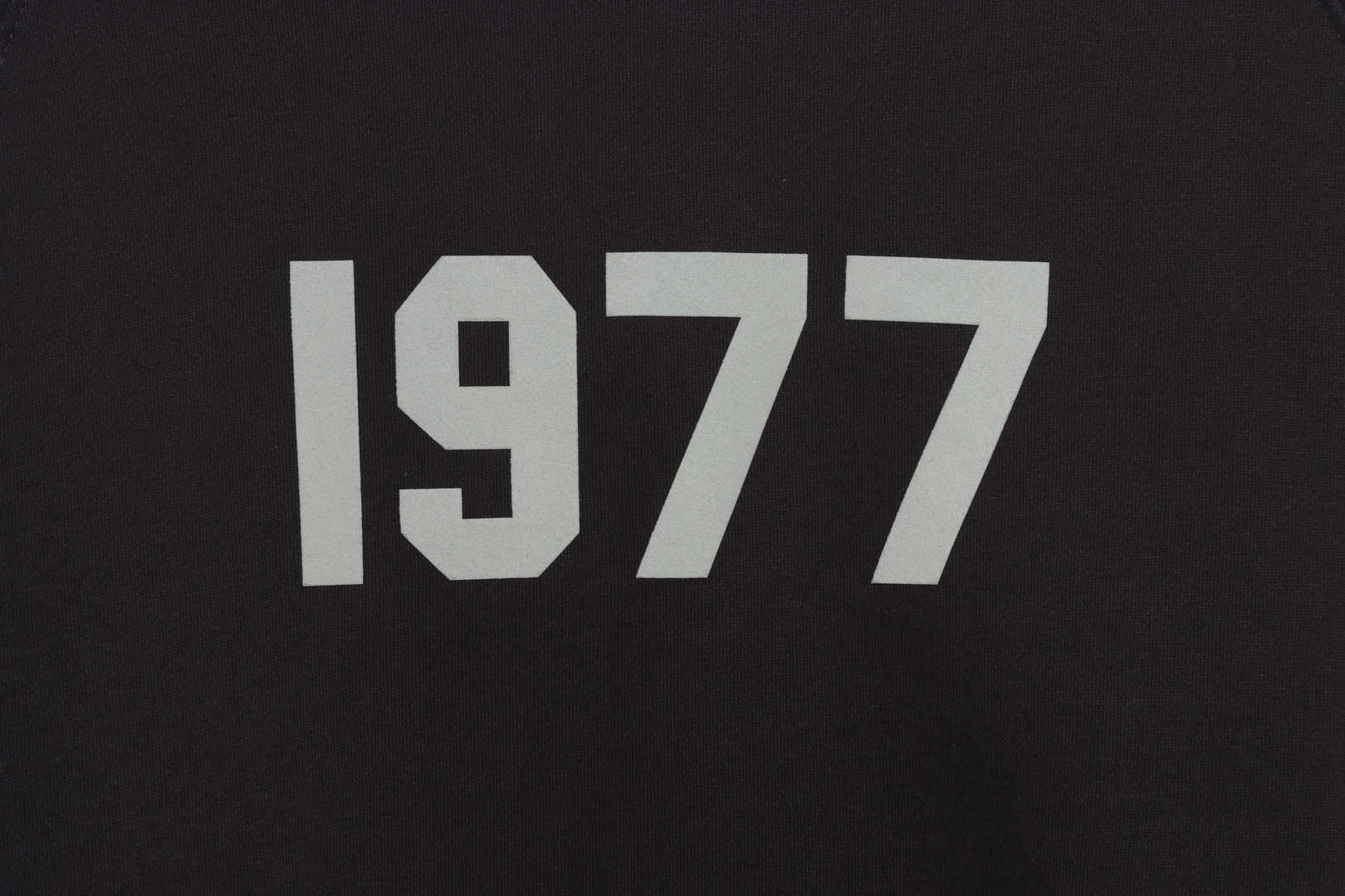 Ess3nt1als F0G 1977 flocking fleece hoodie