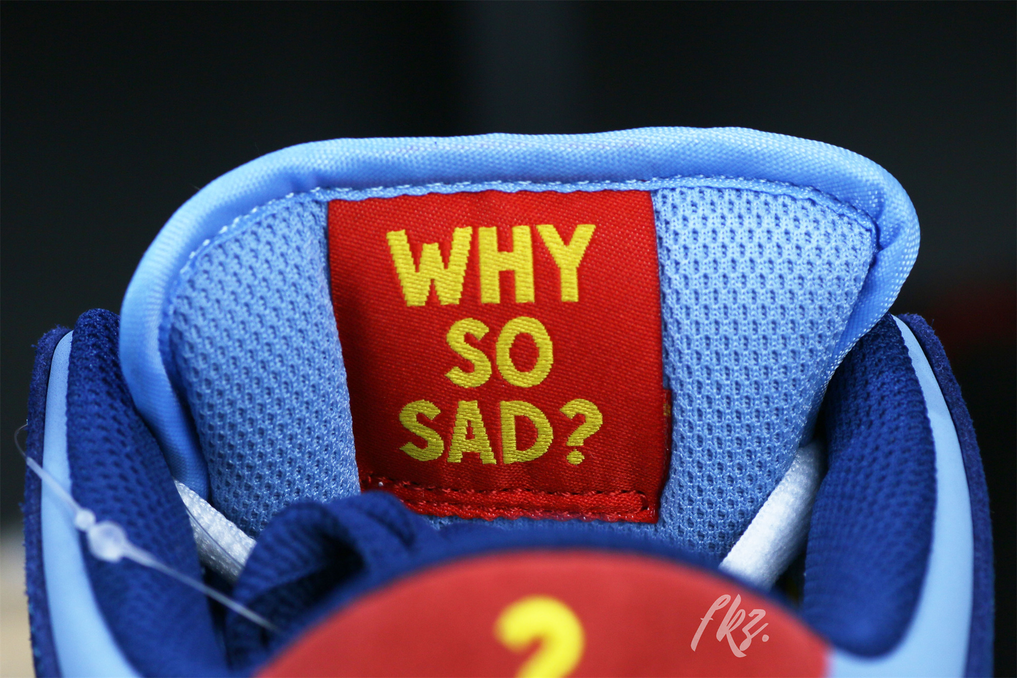 Why So Sad X Dunk Low SB The Predatory Bird