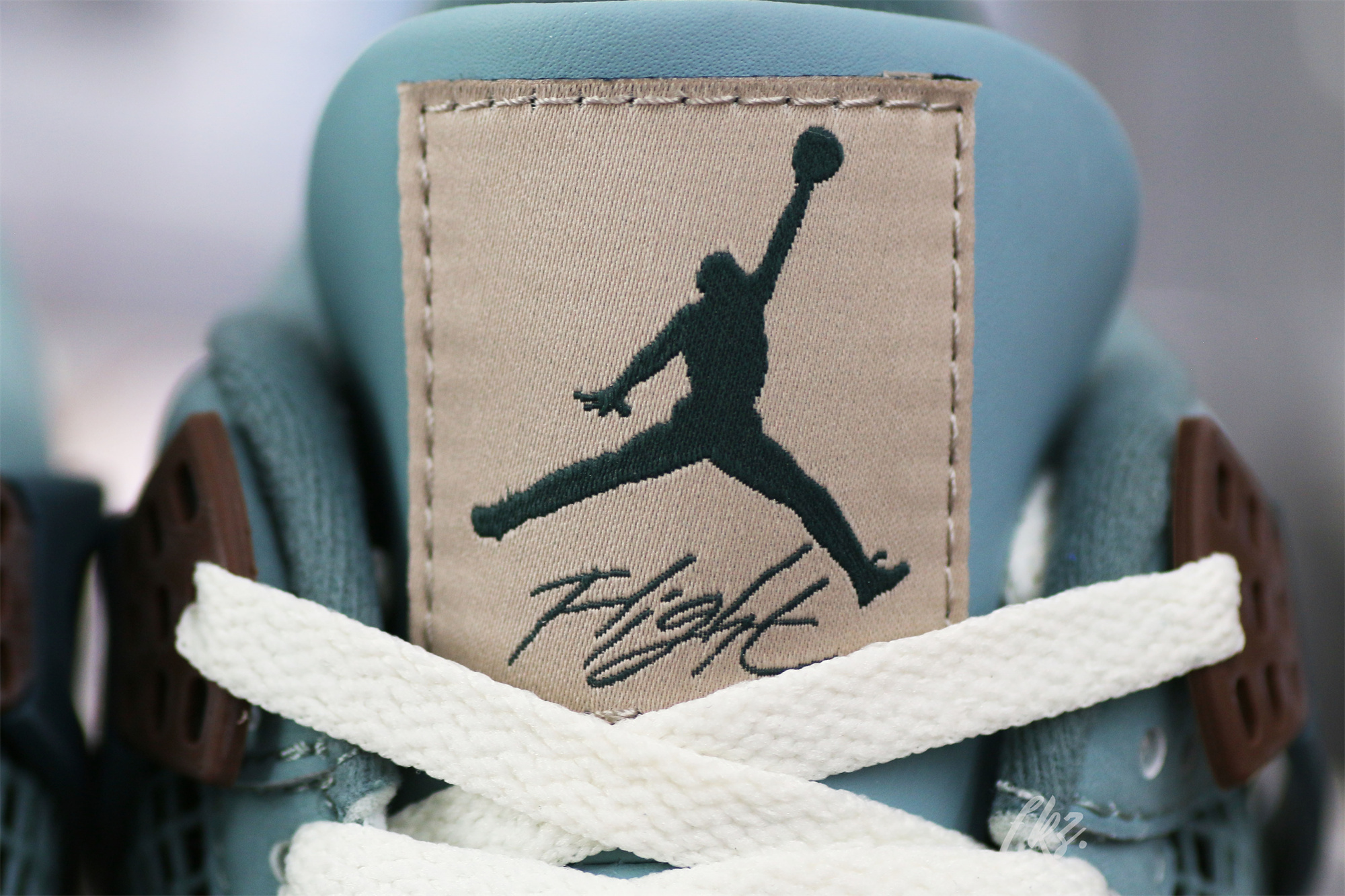 Air Jordan 4 Snorlax Custom