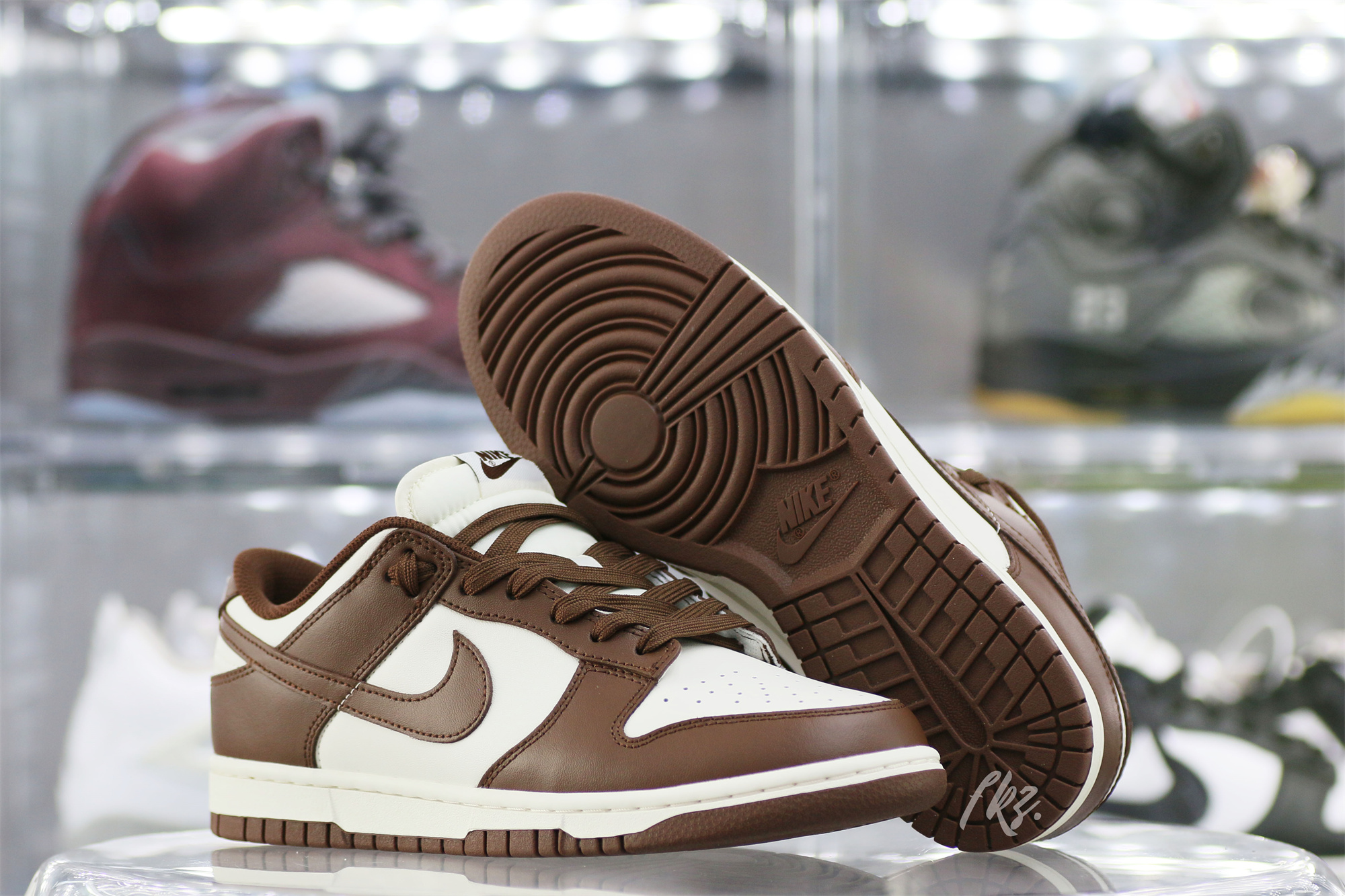 Nike Dunk Low Cocao Wow Brown Sail 2023
