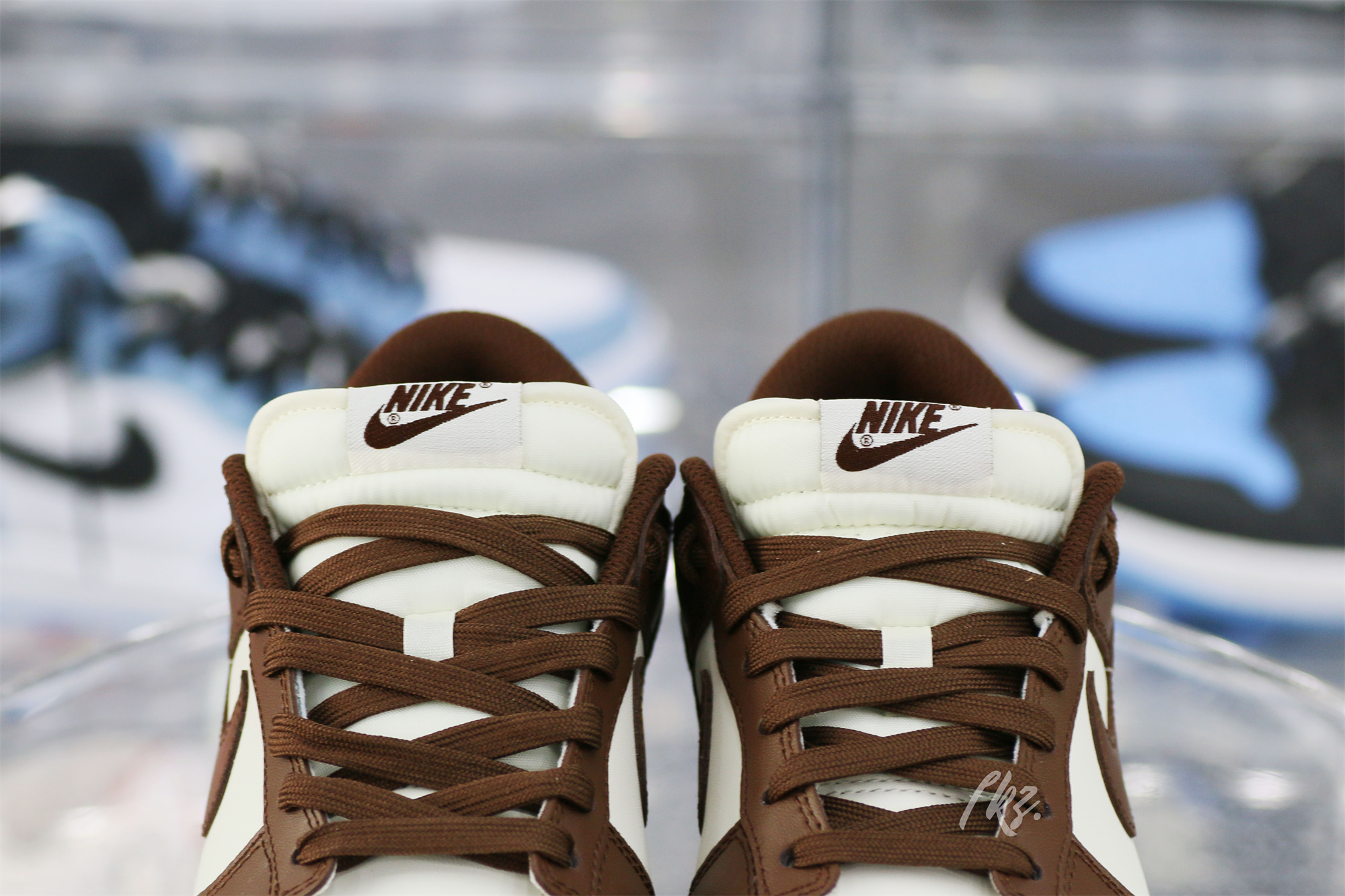 Nike Dunk Low Cocao Wow Brown Sail 2023