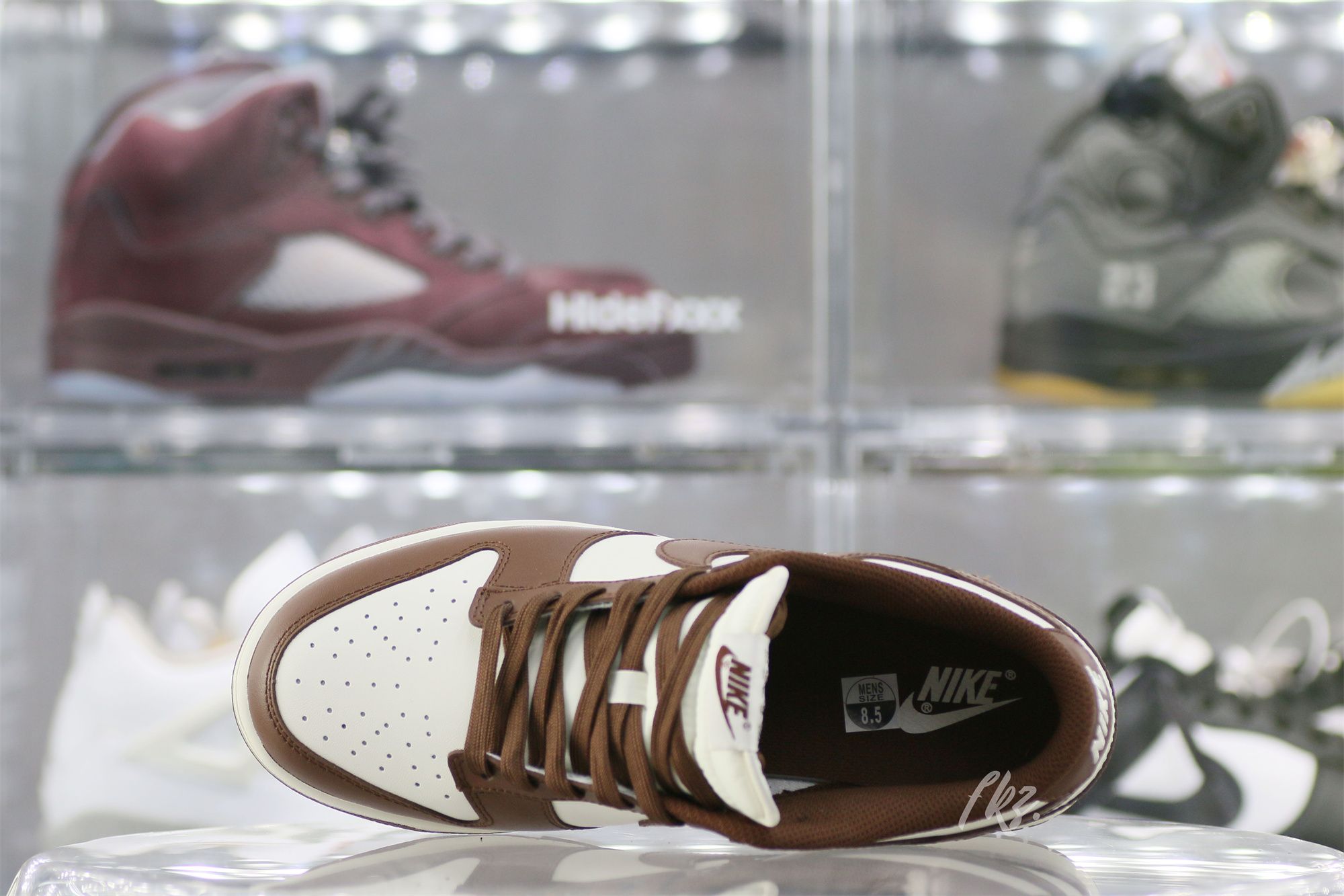 Nike Dunk Low Cocao Wow Brown Sail 2023