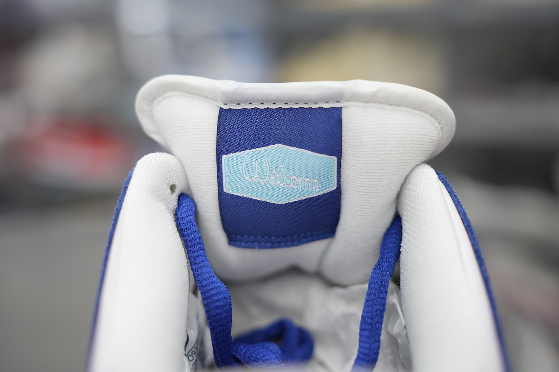 Dunk Low SB Los Angeles Dodgers
