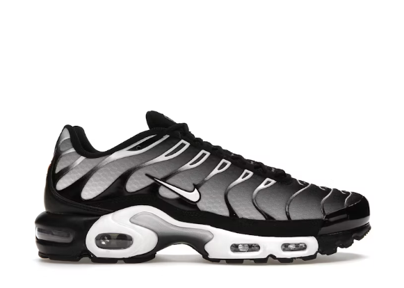 Nike Air Max Plus Black Silver White